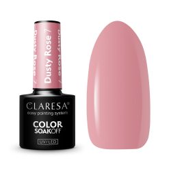 CLARESA - DUSTY ROSE 5ml n.07