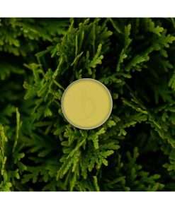 Alternative view of KODI PROFESSIONAL - OMBRETTO IN CIALDA n.167